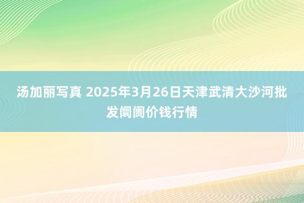 汤加丽写真 2025年3月26日天津武清大沙河批发阛阓价钱行情