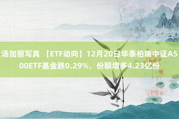 汤加丽写真 【ETF动向】12月20日华泰柏瑞中证A500ETF基金跌0.29%，份额增多4.23亿