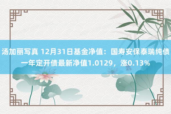 汤加丽写真 12月31日基金净值:国寿安保泰瑞纯债一年定开债最新净值1.0129,涨0.13%
