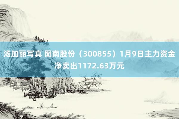 汤加丽写真 图南股份（300855）1月9日主力资金净卖出1172.63万元