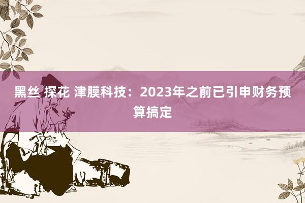 黑丝 探花 津膜科技：2023年之前已引申财务预算搞定