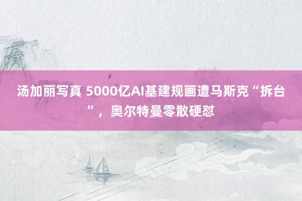 汤加丽写真 5000亿AI基建规画遭马斯克“拆台”，奥尔特曼零散硬怼