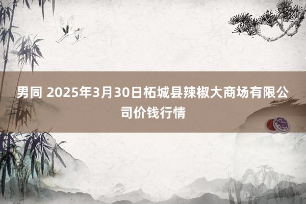 男同 2025年3月30日柘城县辣椒大商场有限公司价钱行情